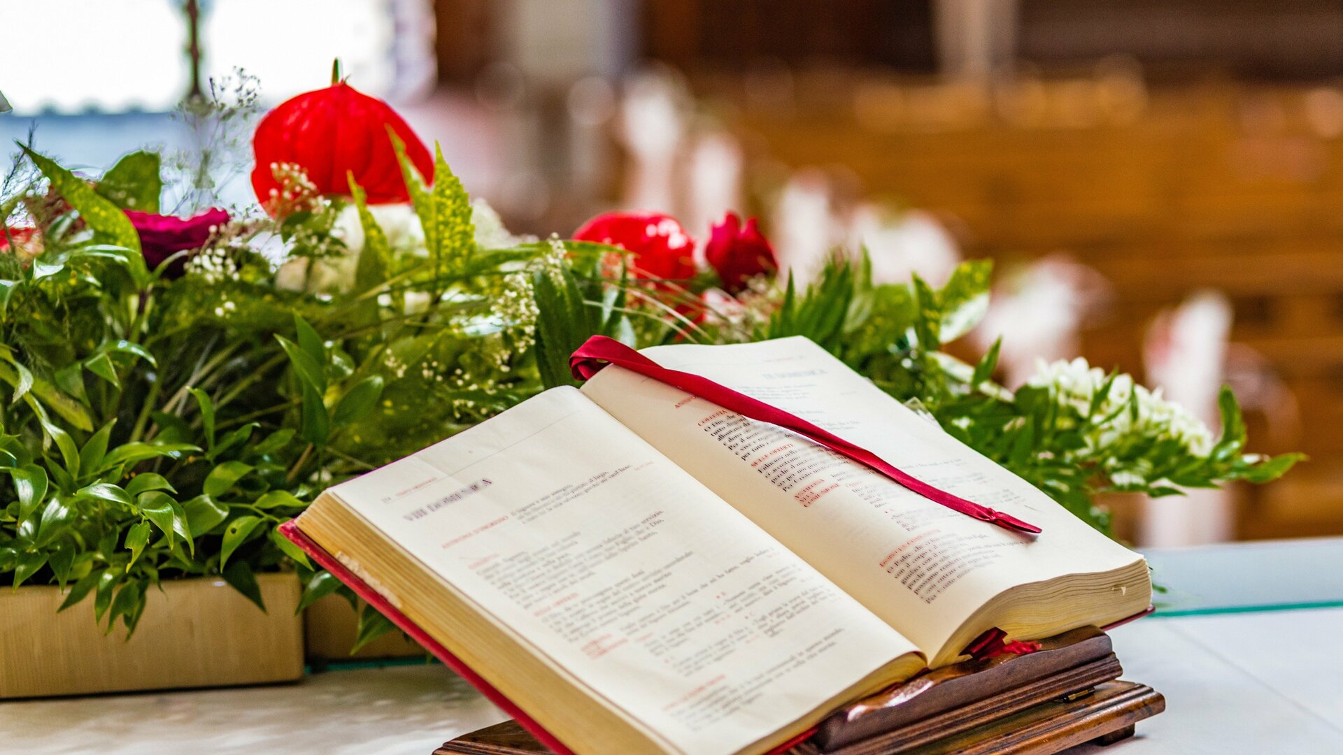 Capela Nossa Senhora de Fátima - São Paulo : Santa Missa