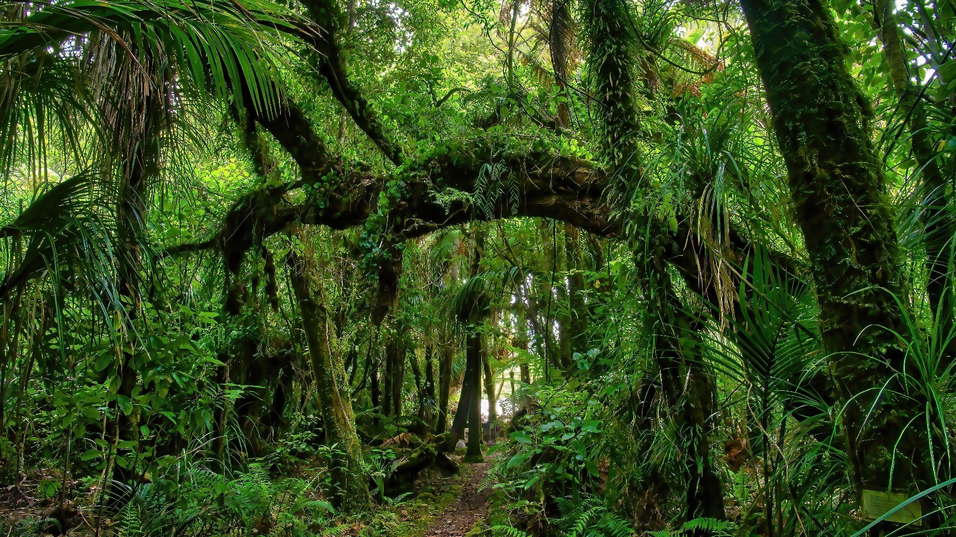Natureza Extrema : Ponto de Ebulição