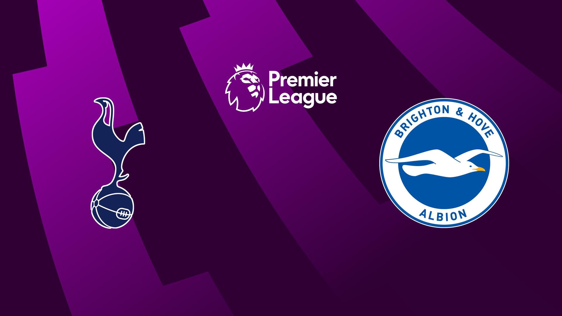 Tottenham Hotspur x Brighton & Hove Albion - Campeonato Inglês : Tottenham Hotspur x Brighton & Hove Albion