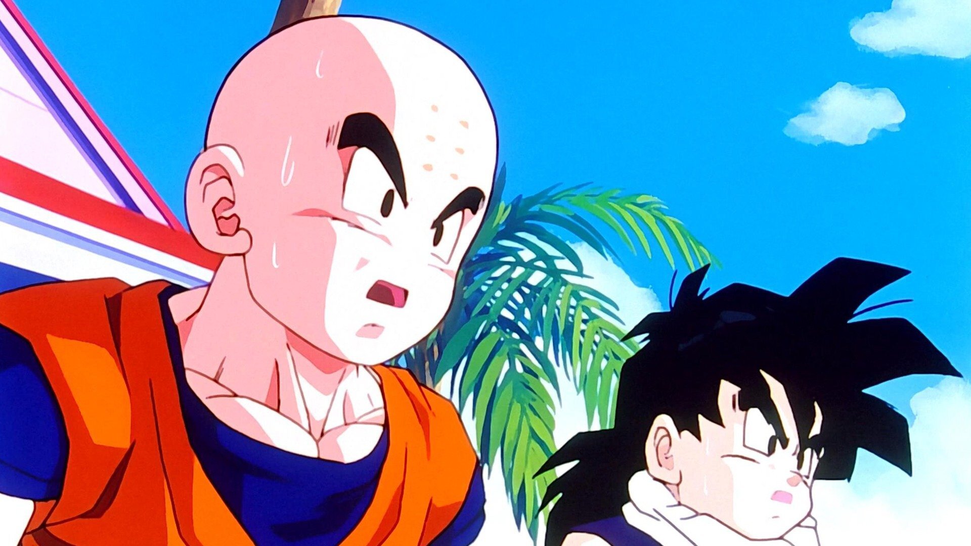 Dragon Ball Z : Borrowed Powers