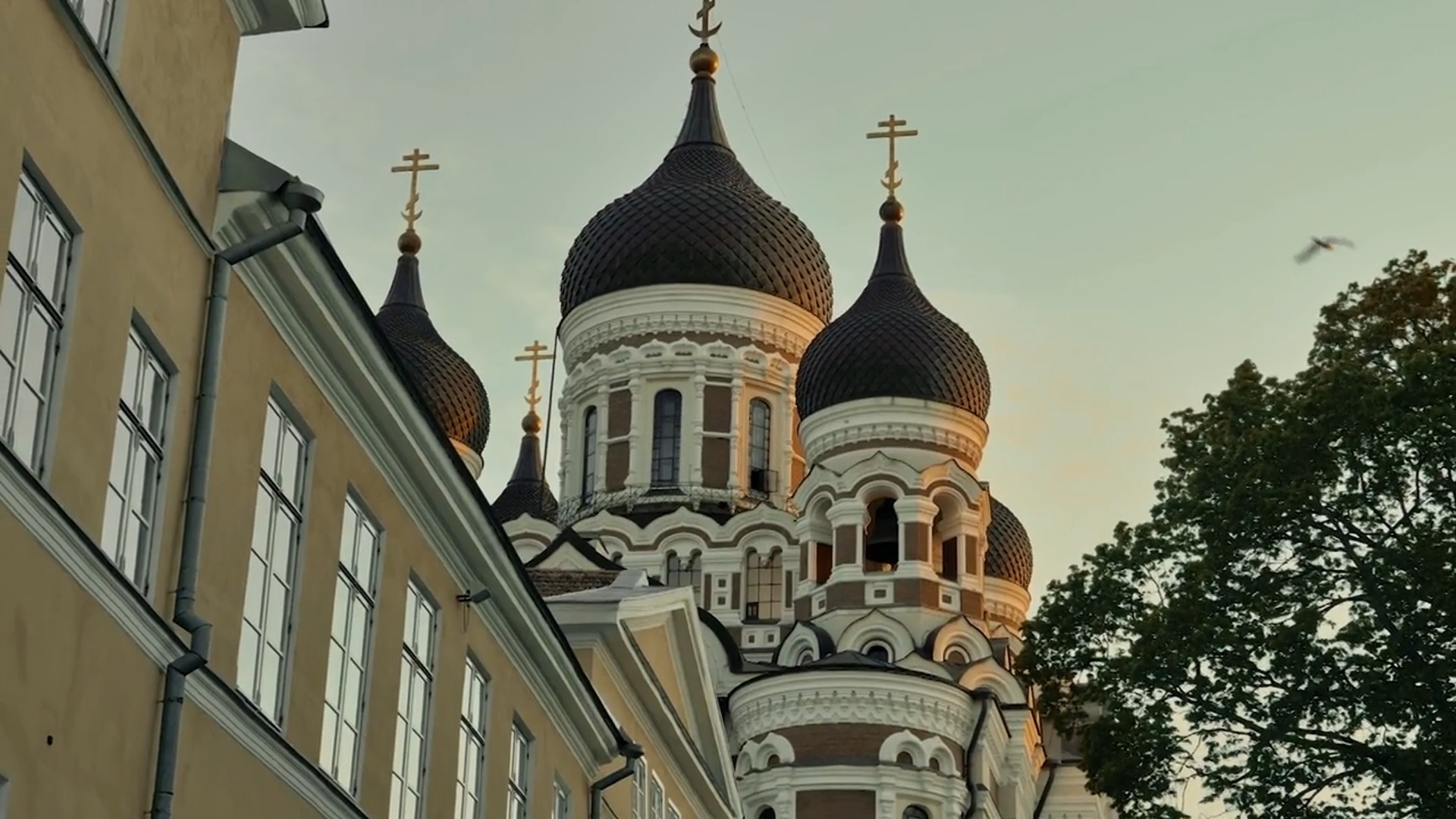 Expresso Futuro : Base