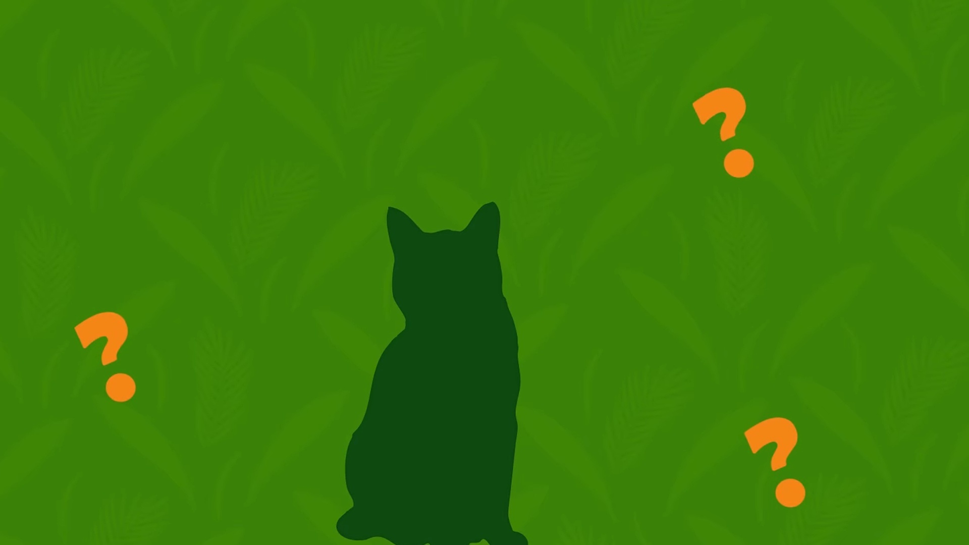 Que Animal É Esse? : T1 EP4 - Gato