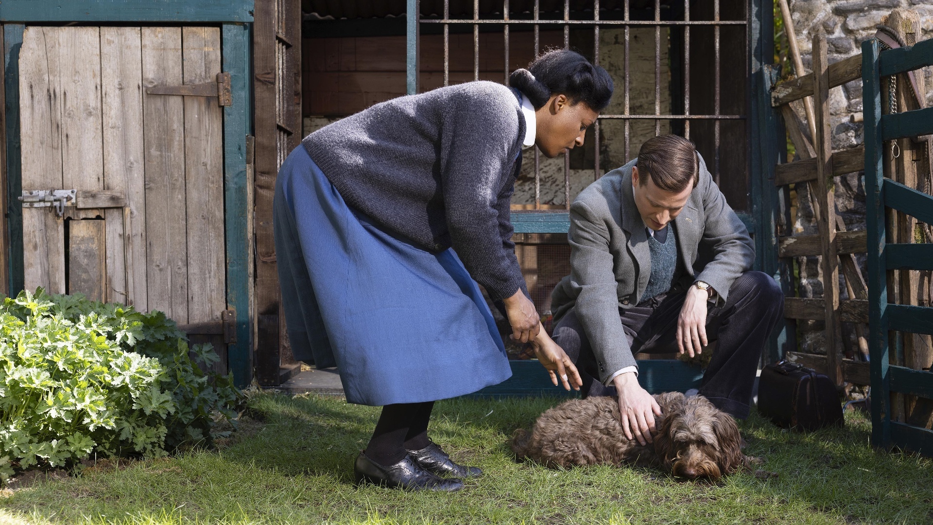 All Creatures Great and Small : Cachorro Velho, Truques Novos