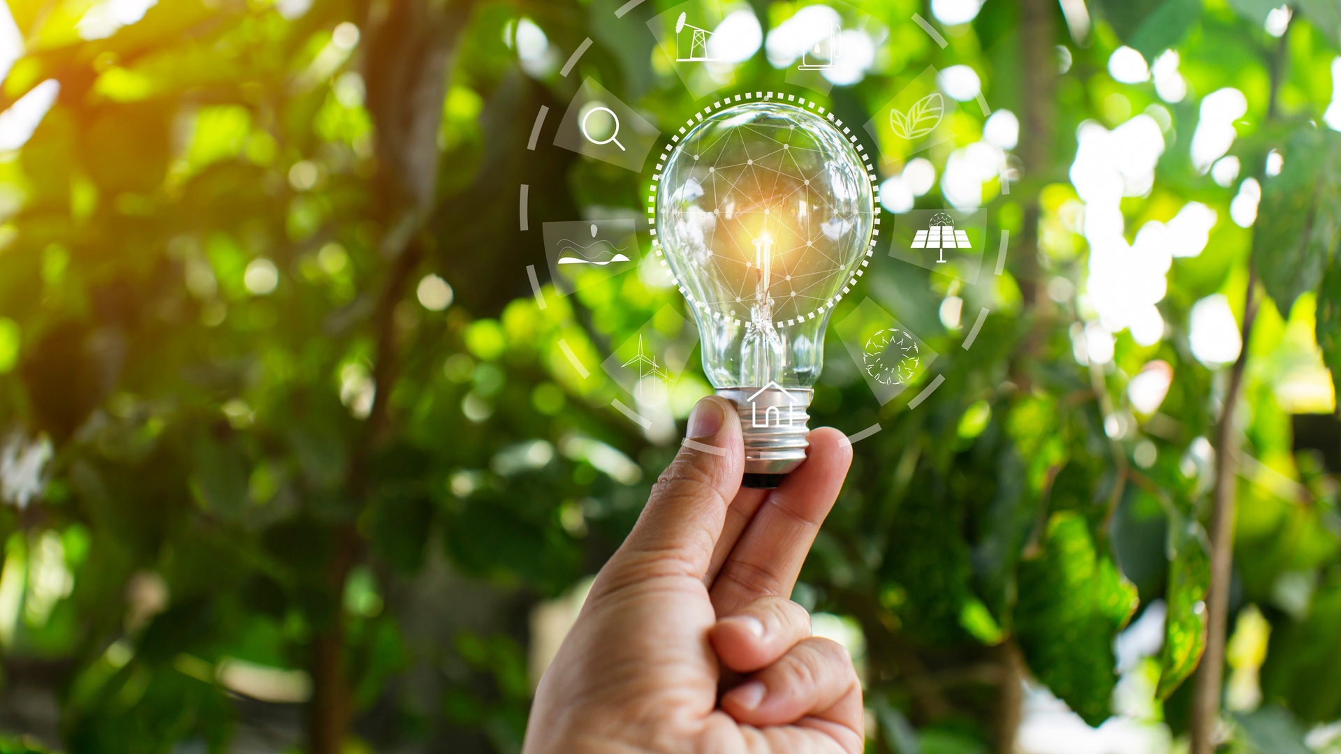 Batata-Doce da Unesp