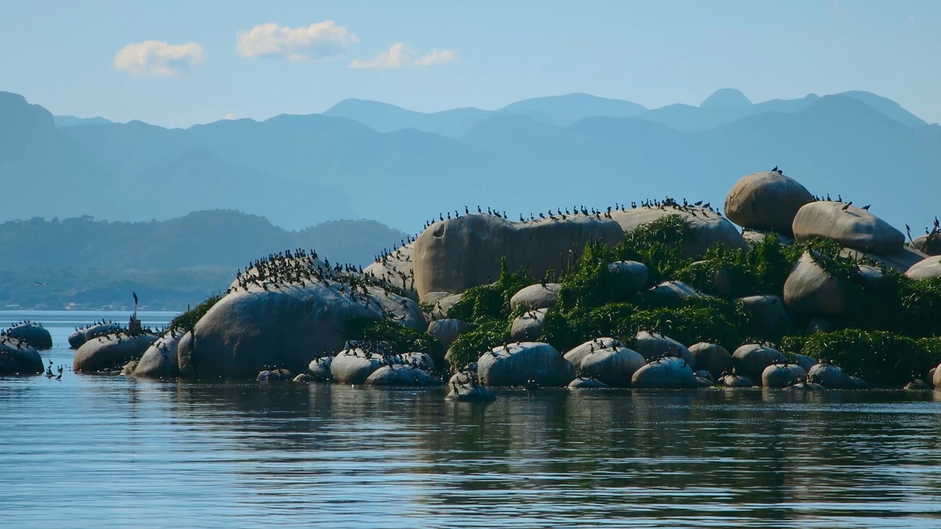 Nos Caminhos dos Viajantes : Da Baía de Guanabara à Serra de Ibitipoca