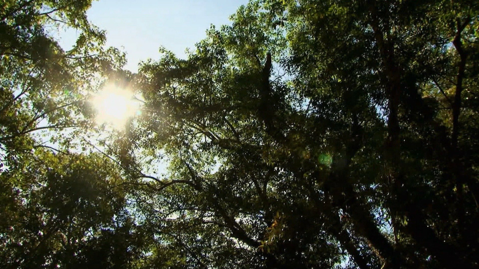 Rota Perigosa : Bornéu