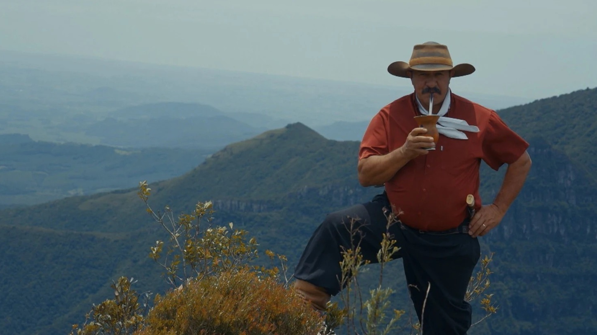 Biomas : Pampas e Campos da Serra de Cima