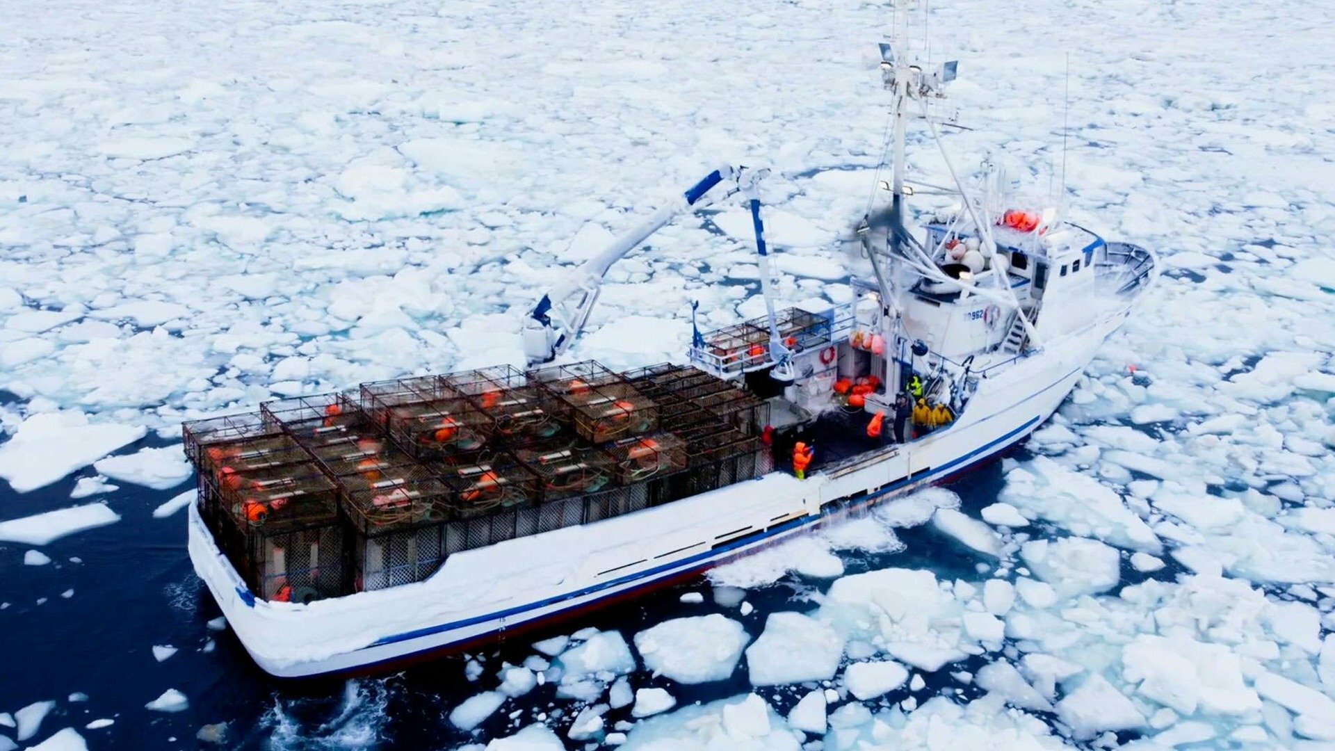 Pesca Mortal : Congelados