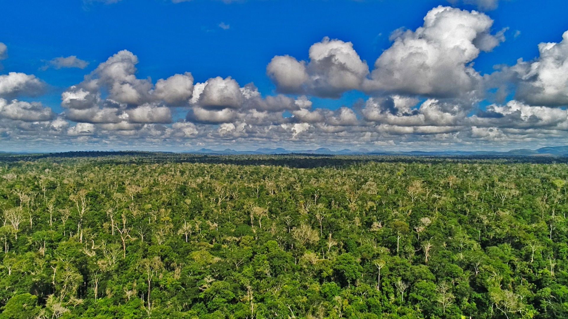 Parques do Brasil : Reserva Biológica de Sooretama - ES