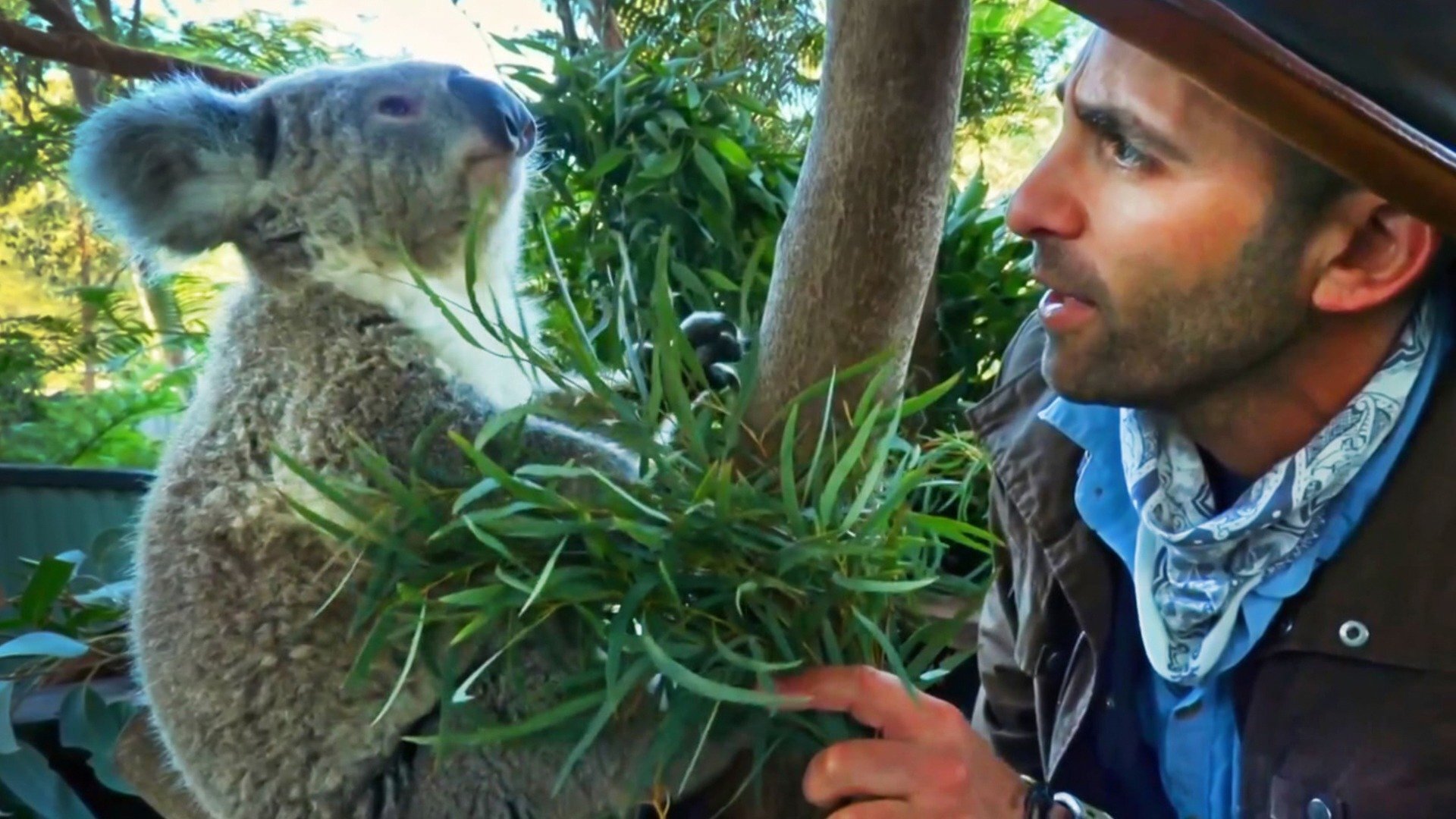 Encontro Selvagem com Coyote Peterson : Marsupiais Fofos