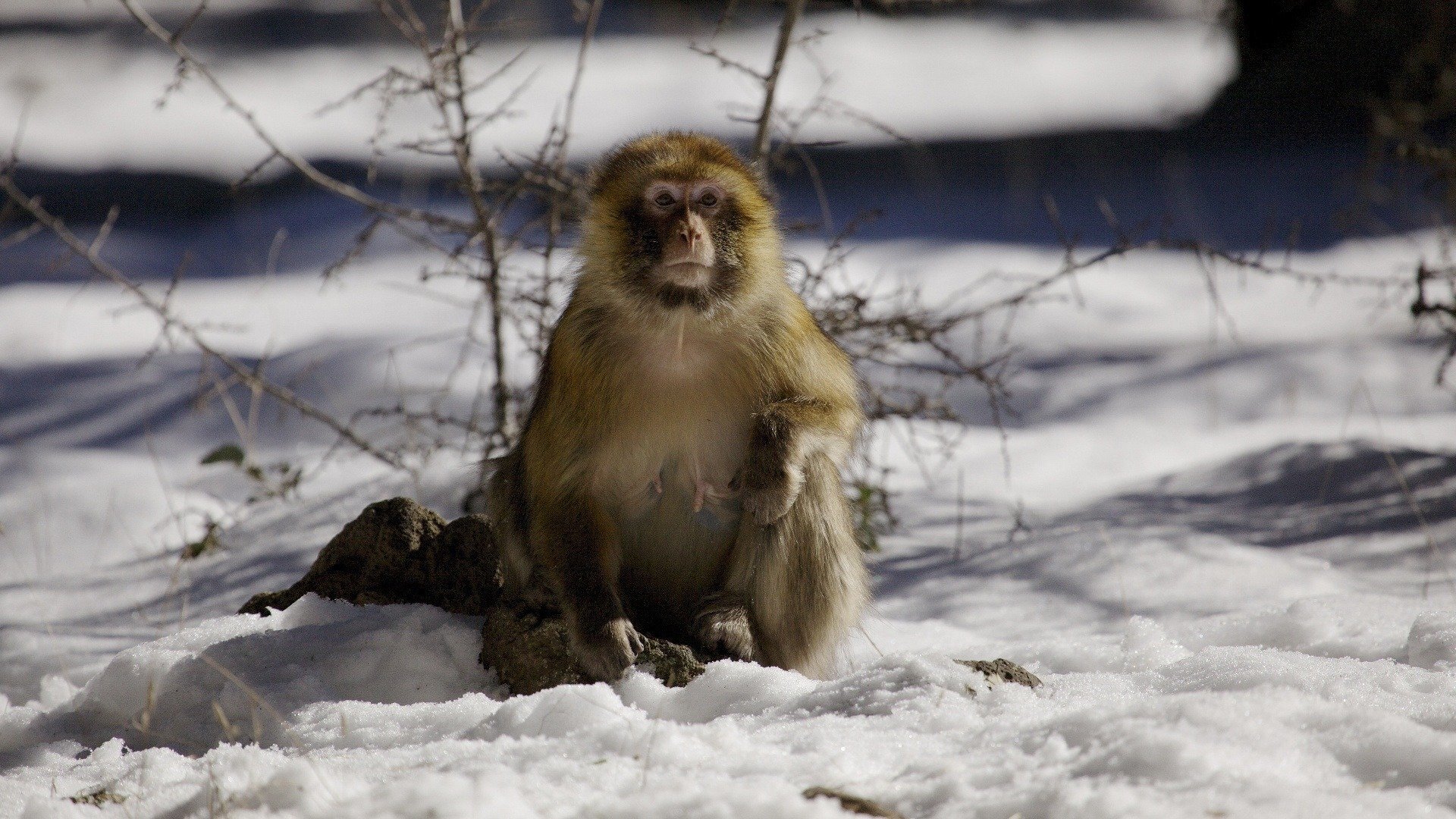 África : África em Close Up