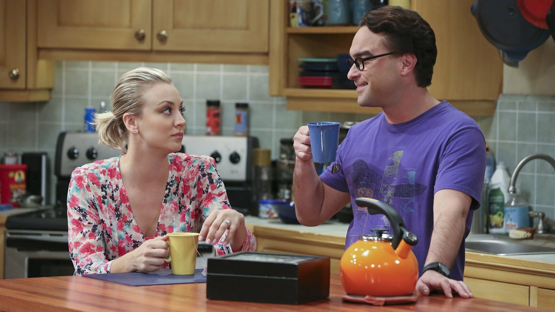 The Big Bang Theory : The Spock Resonance
