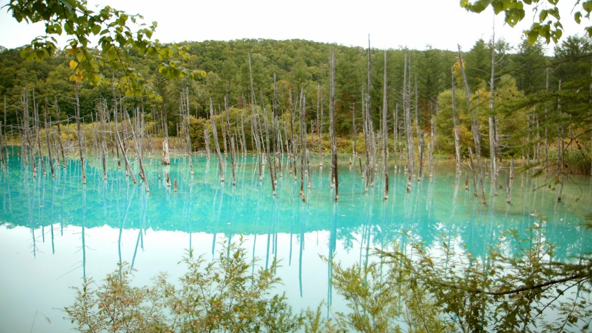 O Mundo em Cores : Japão em Azul