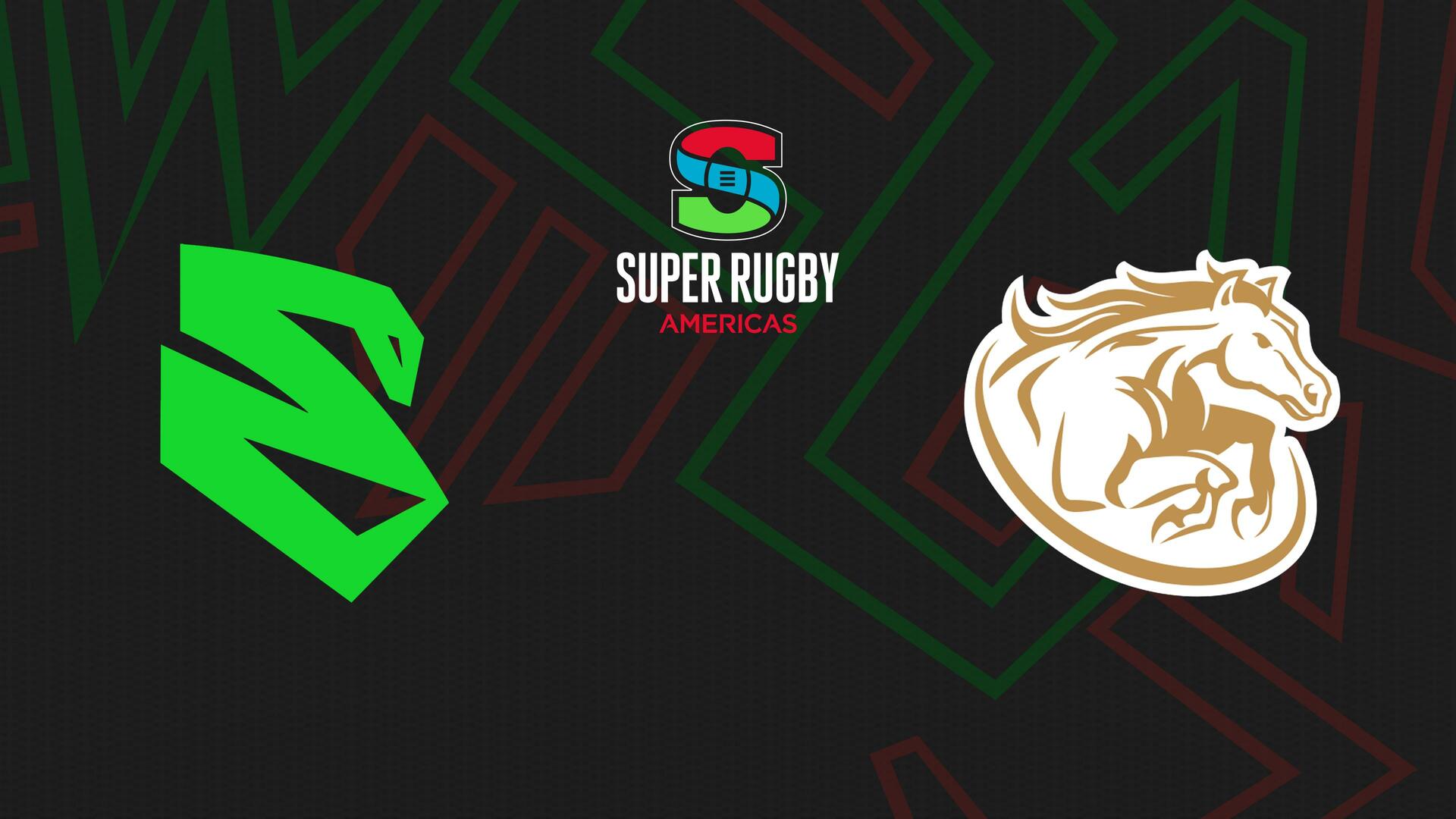 Cobras Brasil XV x Pampas - Super Rugby Americas : Cobras Brasil XV x Pampas