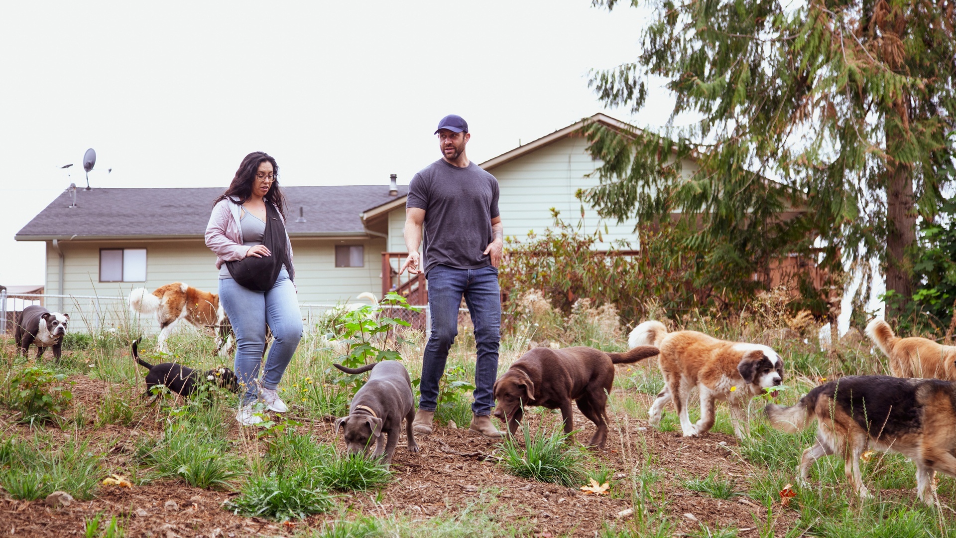 Minha Vida Animal : Aries Especial