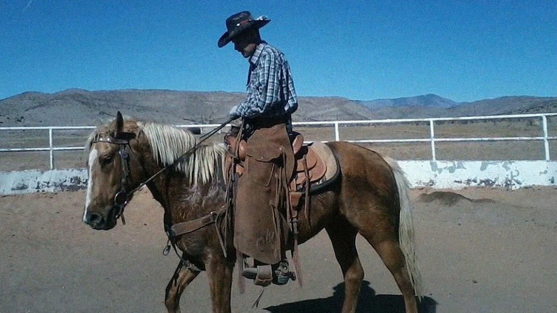 Morte no Velho Oeste : Caubói Golpista