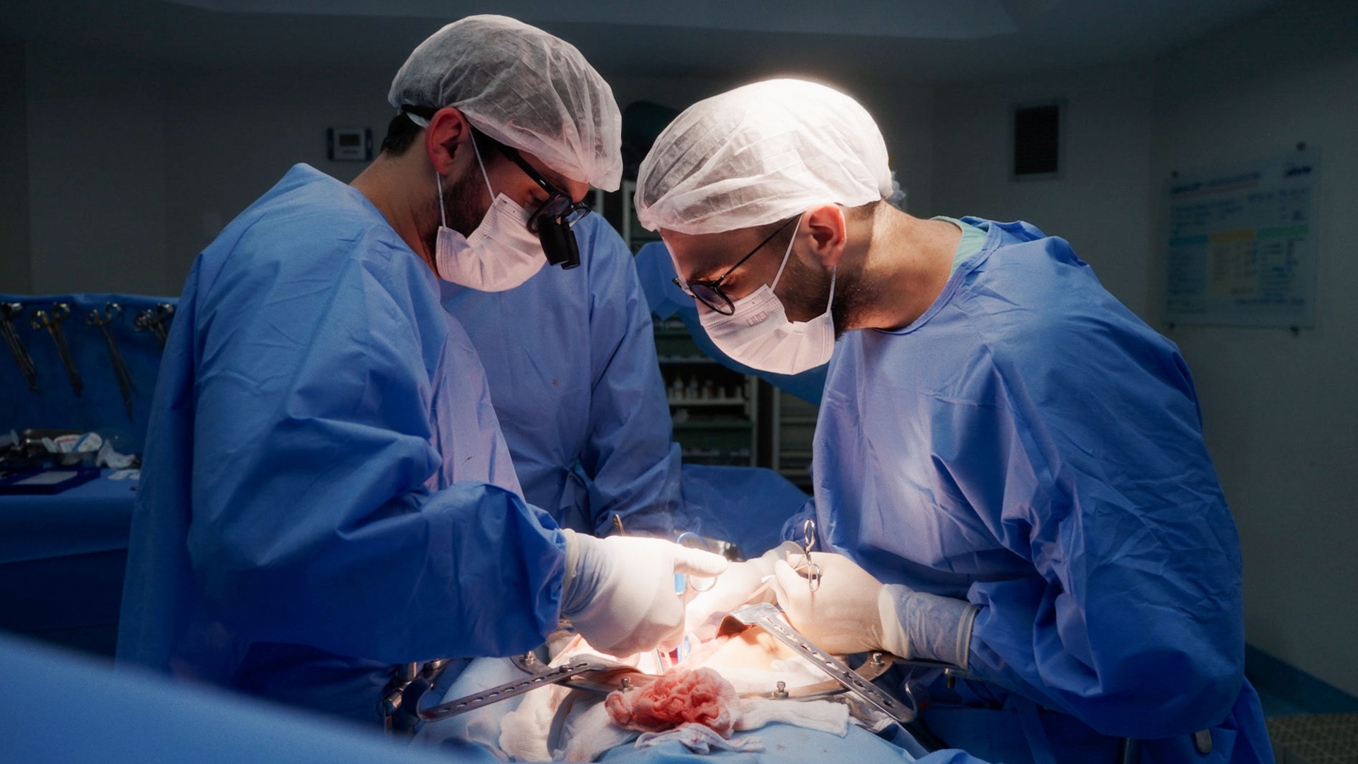 Operação Transplante : Voltar a Viver