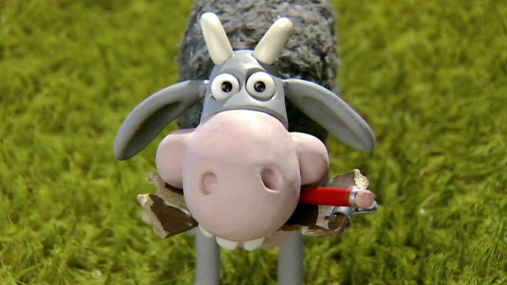 Shaun, o Carneiro : A Cabra