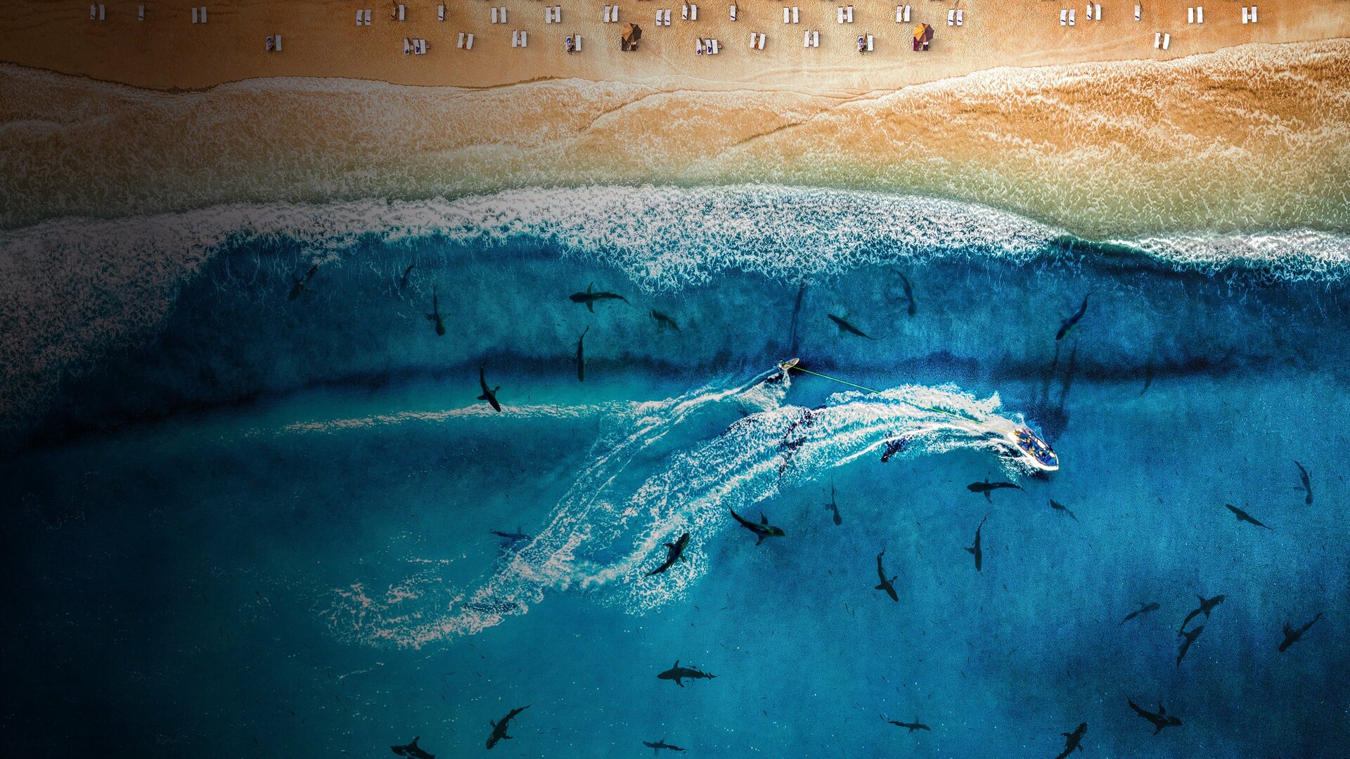 Monstros de Cape Cod