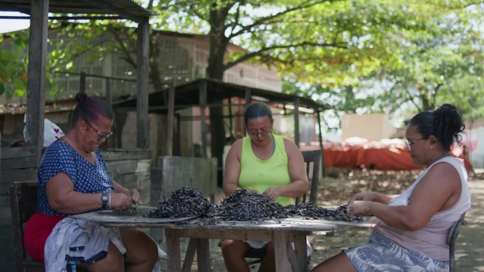Brasil da Paz : Economia Solidária e Inclusiva