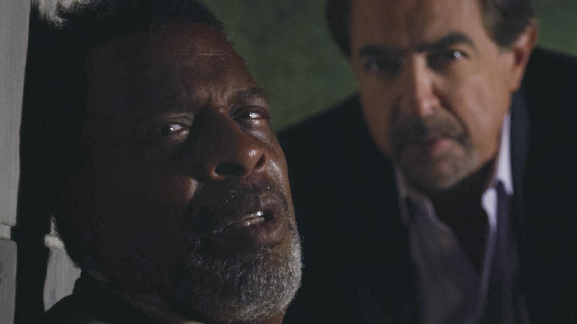 Criminal Minds : The Fallen