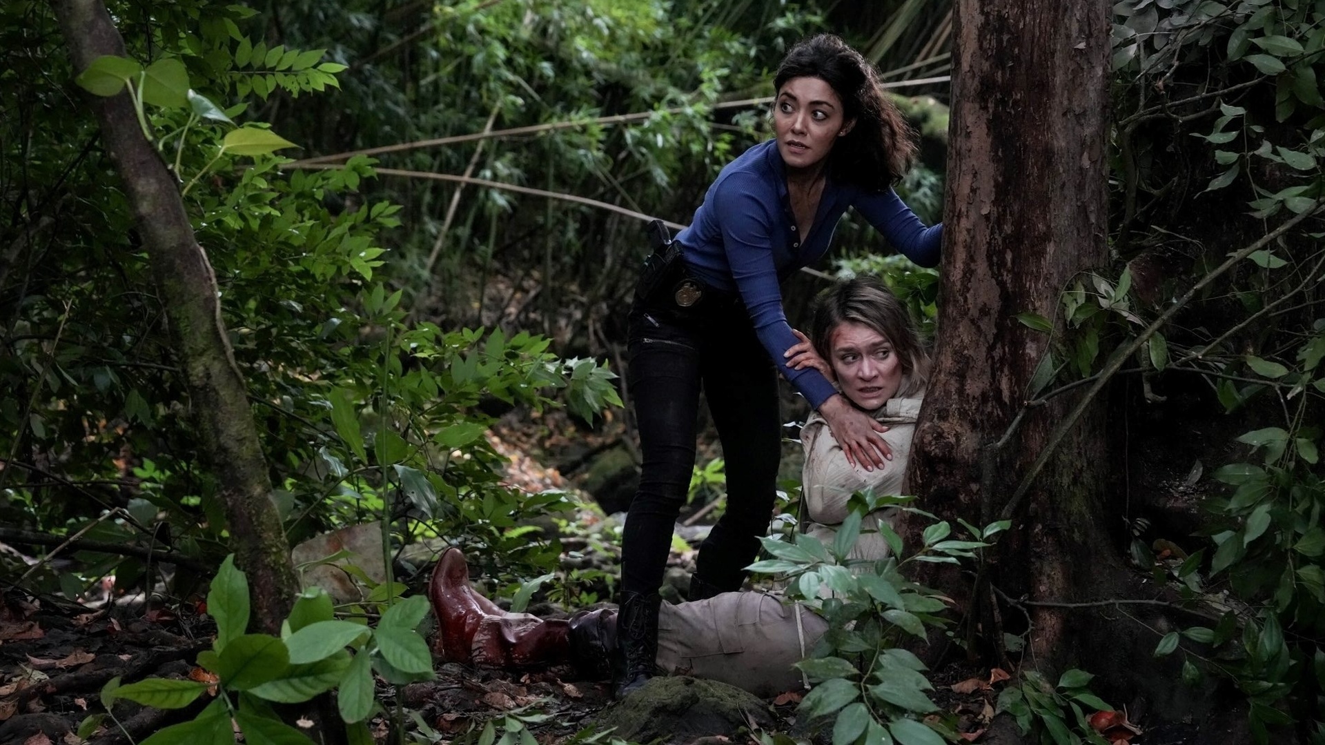 NCIS: Hawai'i : Serve and Protect