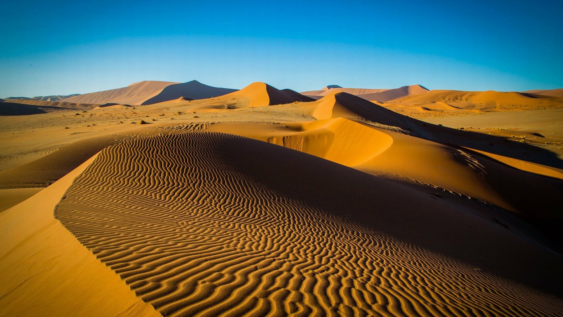 Planeta Terra II : Desertos