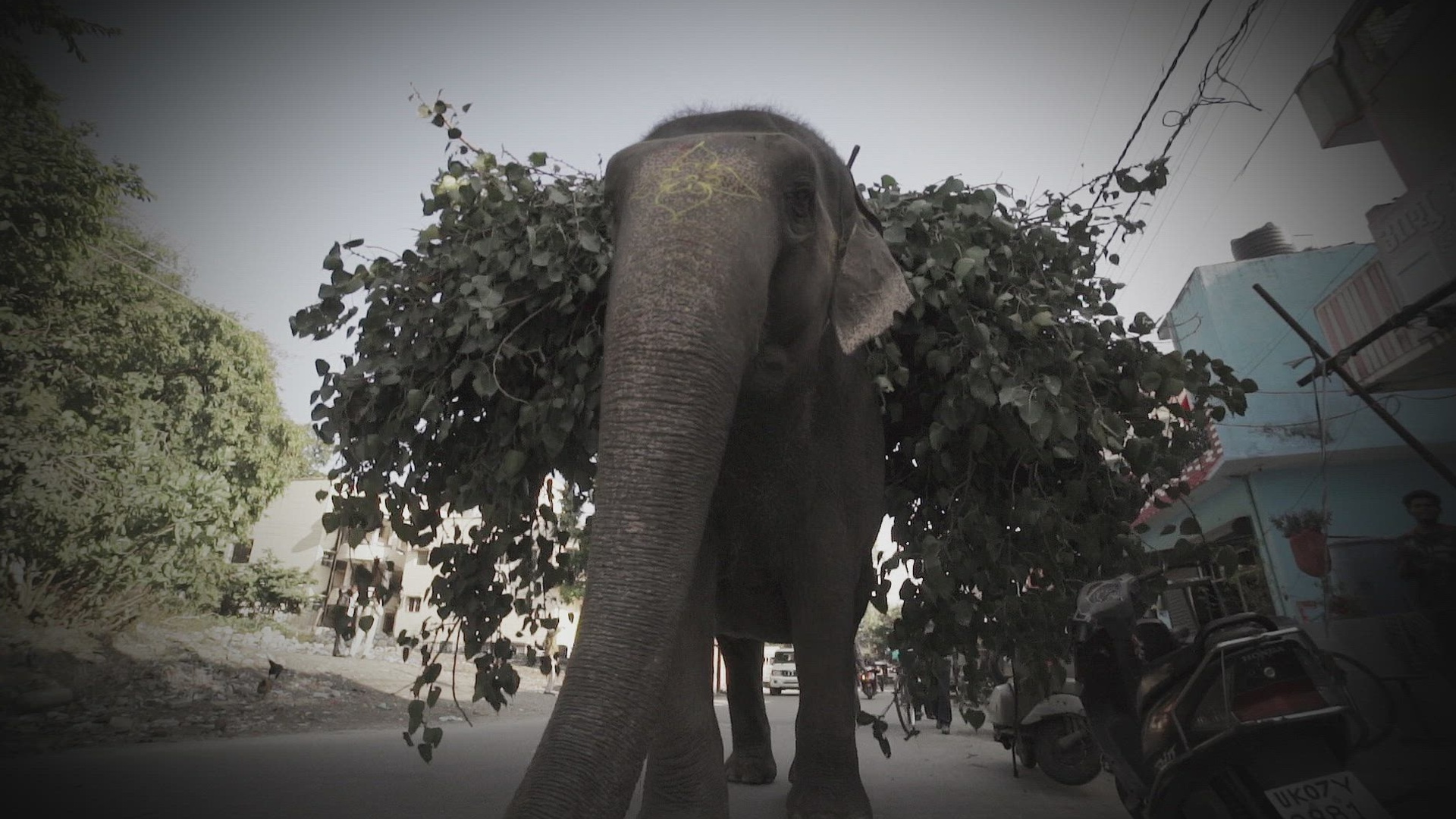 Inacreditável com Dan Aykroyd : Doce Vingança