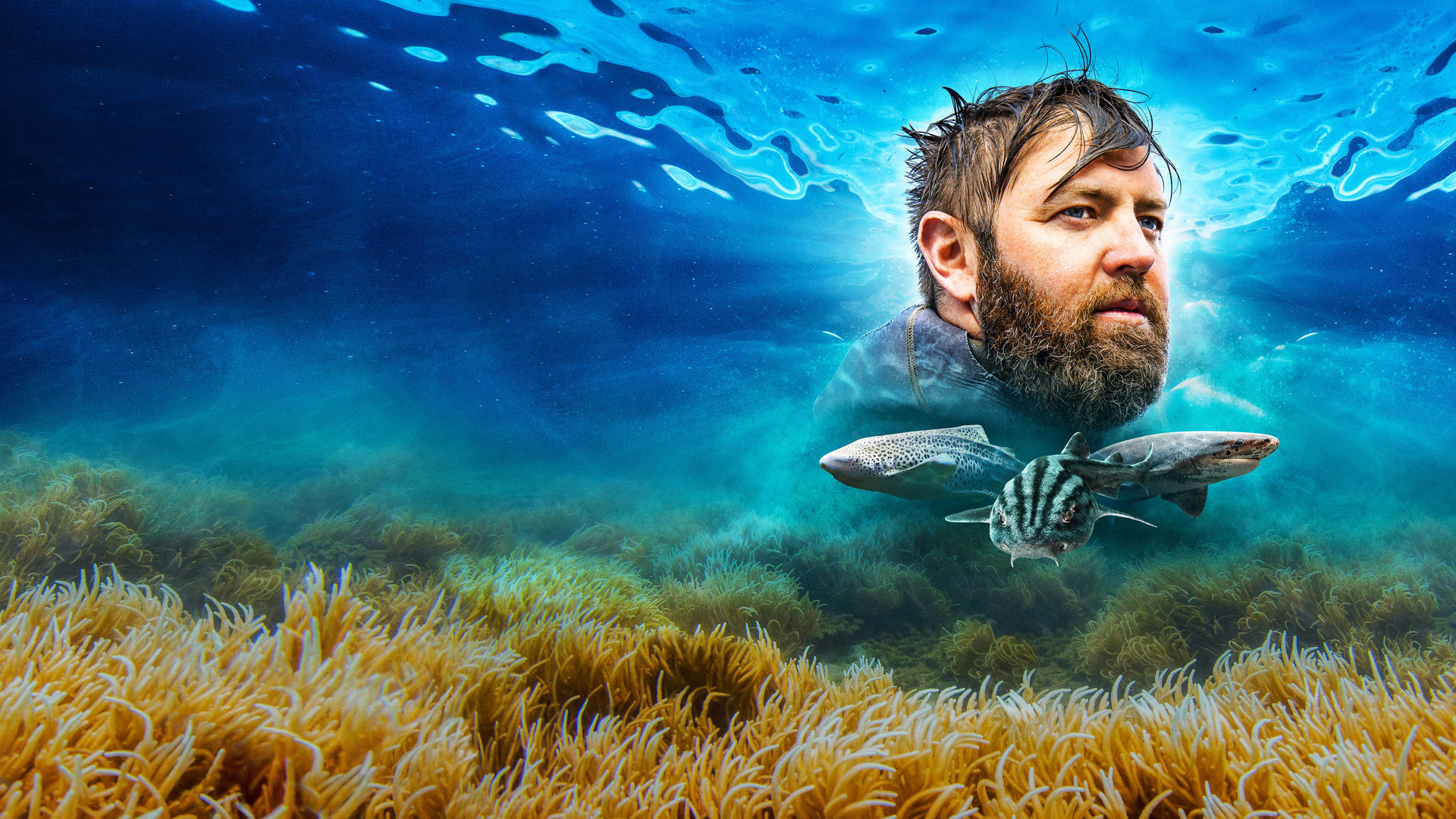 Tubarões Pré-Históricos - Novos Mundos