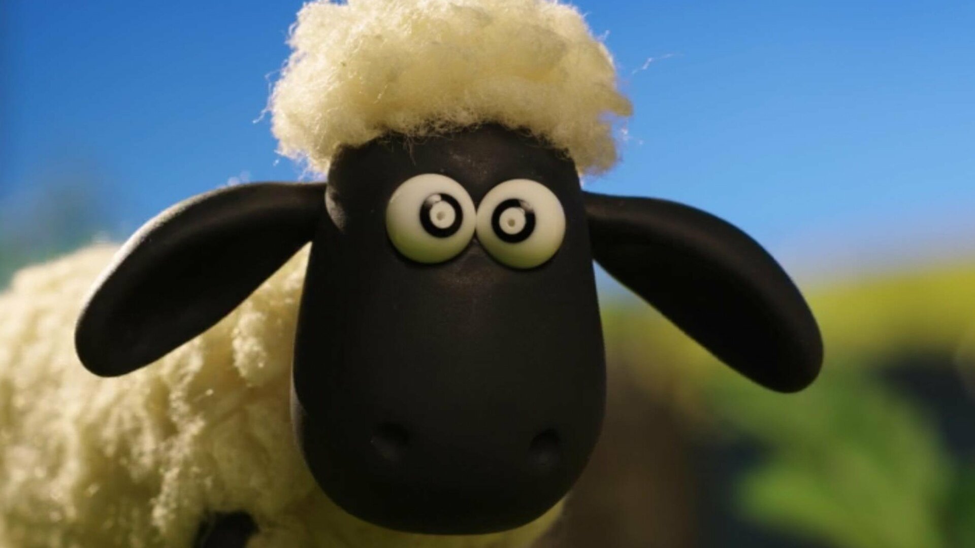 Shaun, o Carneiro : Hipnotizados