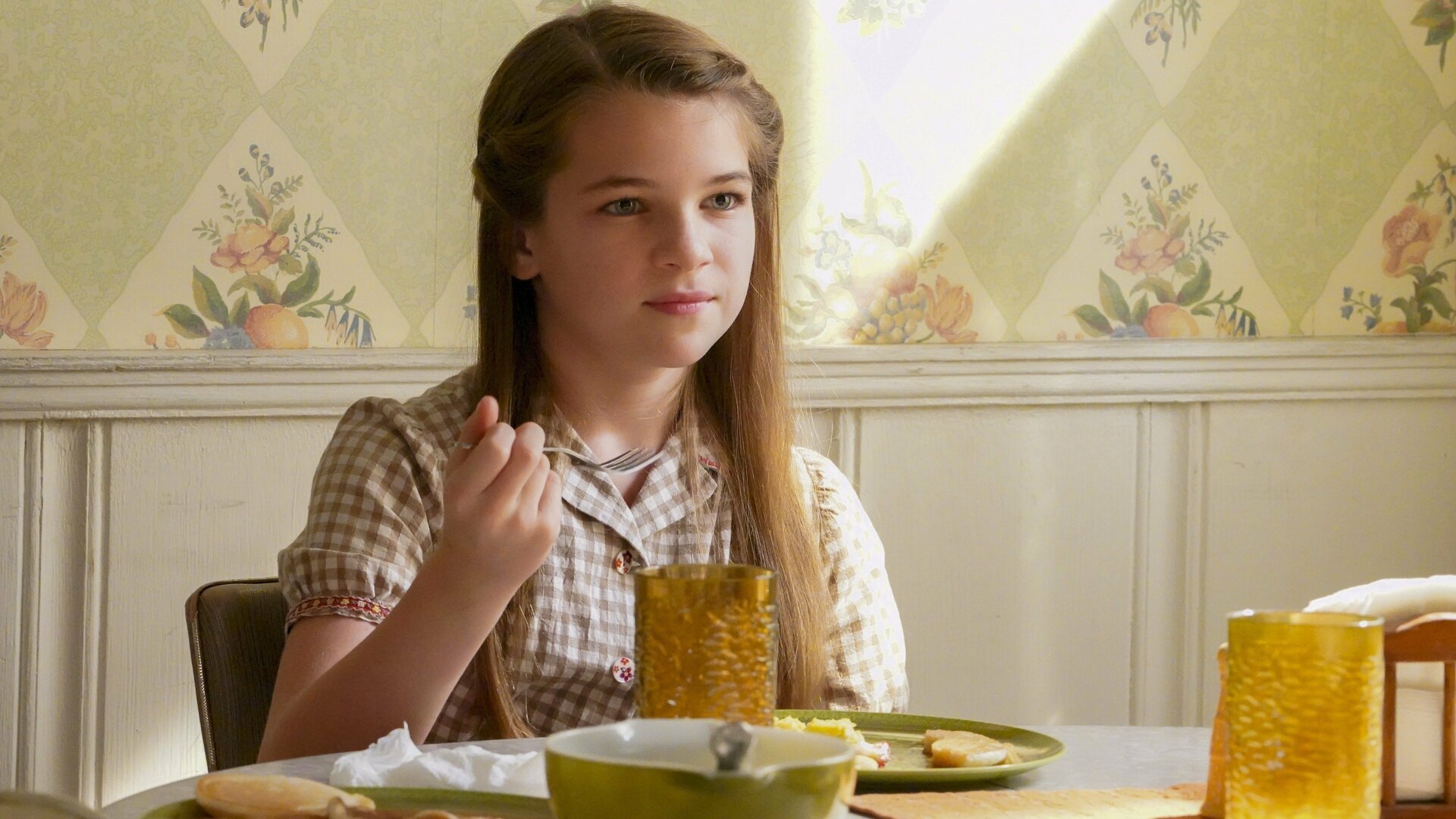 Young Sheldon : Contracts, Rules and a Little Bit of Pig Brains