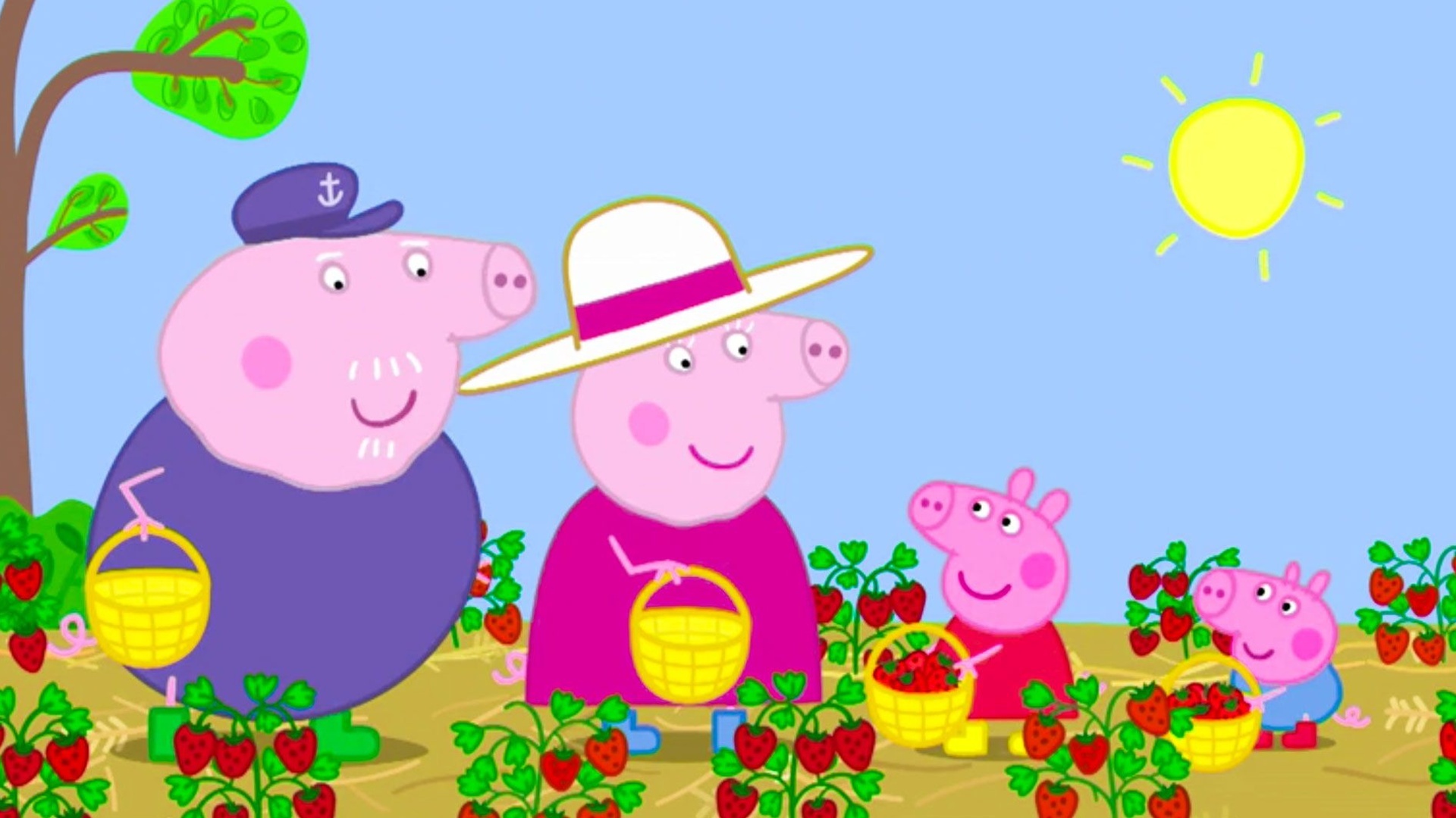Peppa Pig : Morangos; O Aniversário do Vovô...