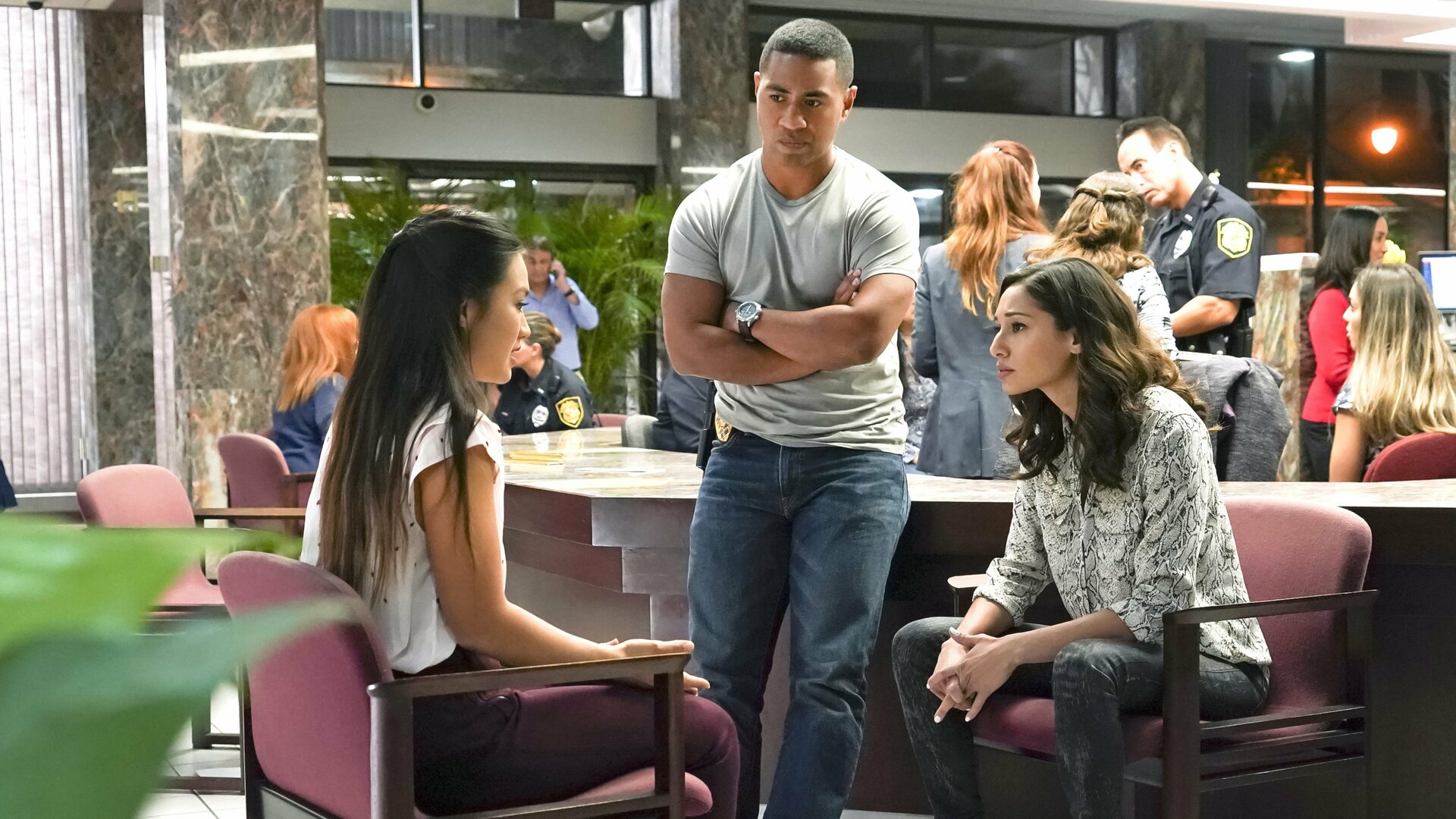 Hawaii Five-0 : Offer Young Taro Leaves to