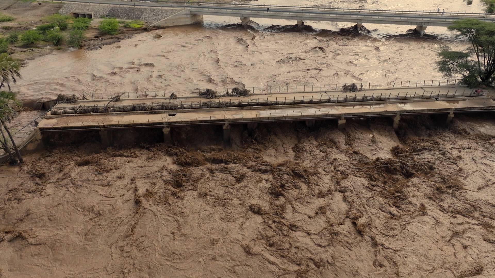 Instintos da Vida Selvagem : Água Doce