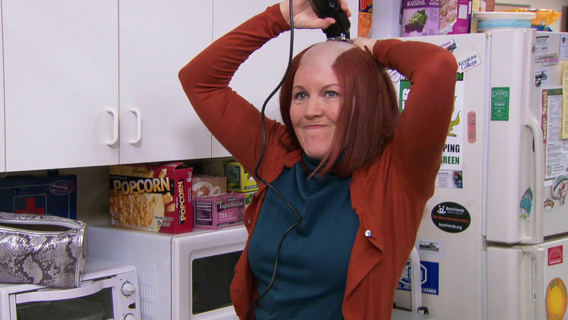 The Office : Piolhos