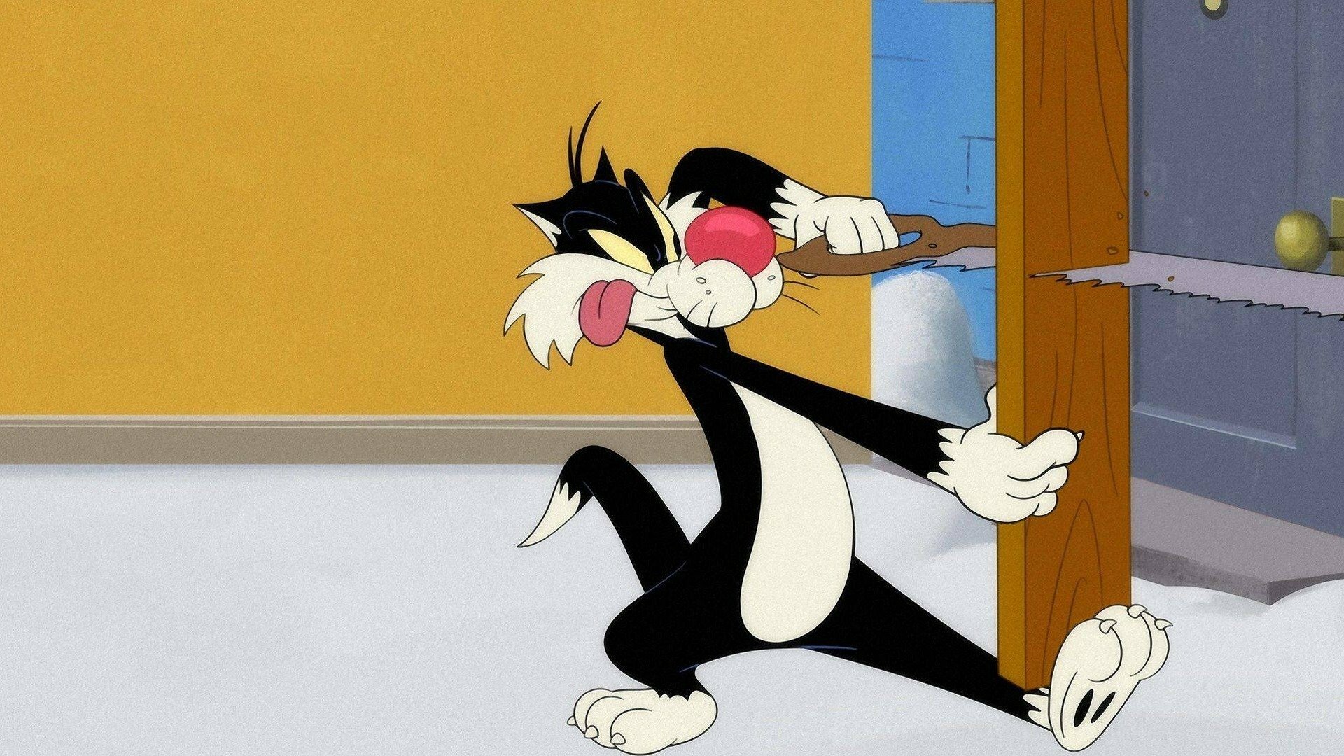 Looney Tunes Cartoons : Perturbando na Piscina; Botando o...