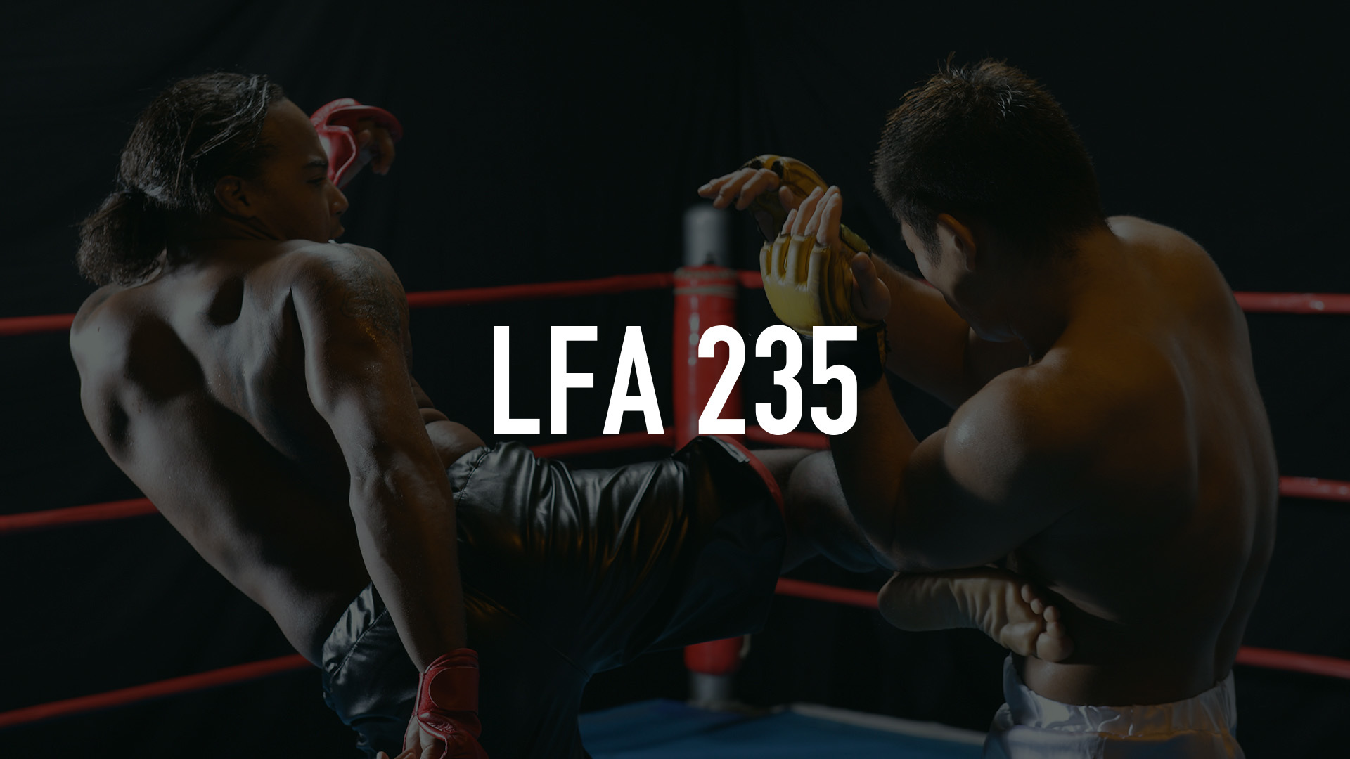 LFA 235