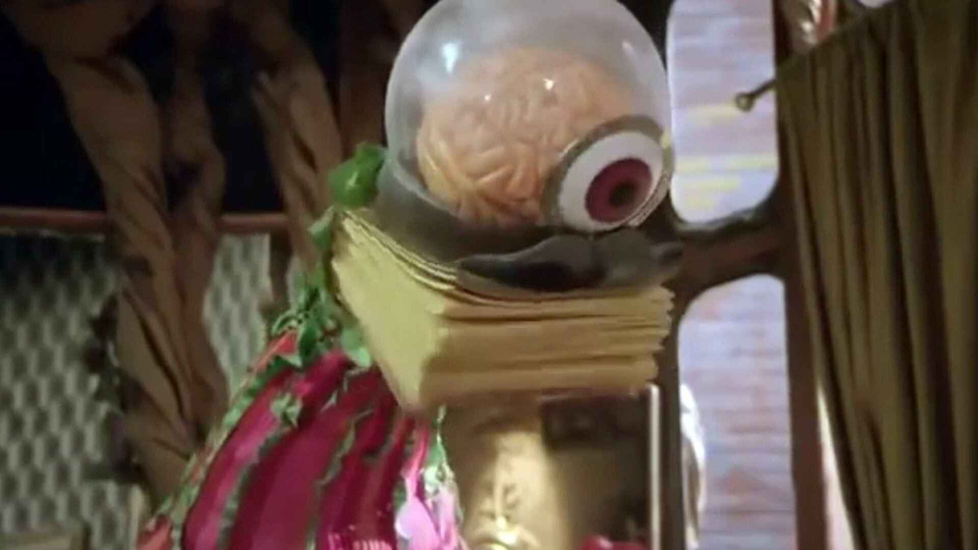 Que Monstro te Mordeu? : Gírias