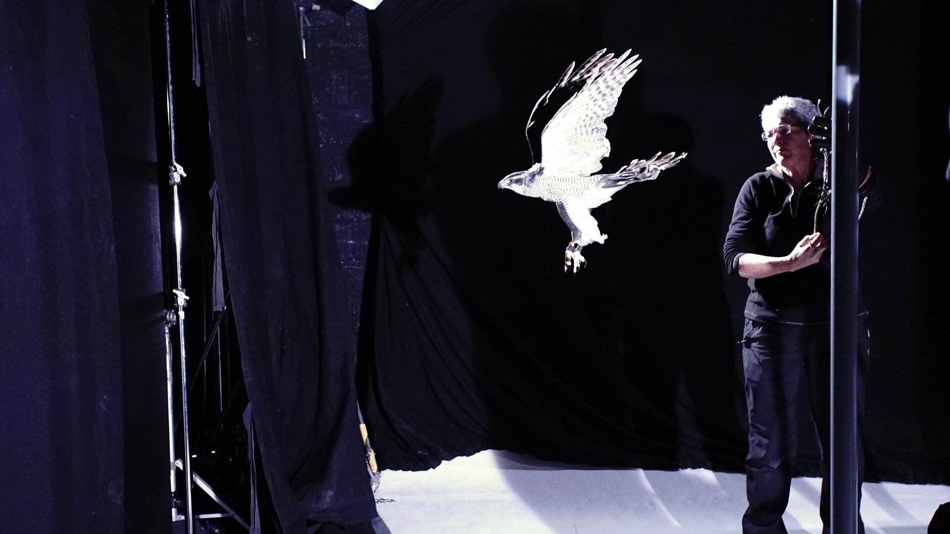 O Incrível Mundo Animal : Filhotes Inteligentes e Ursos Polares