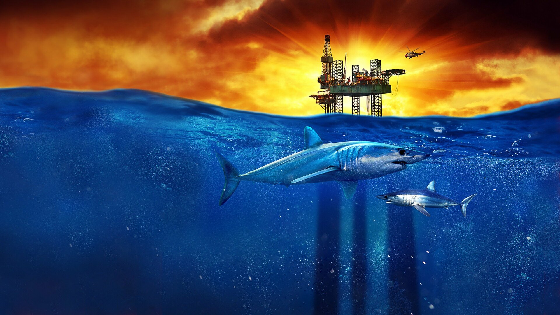 Mako Maverick - Monstros no Golfo