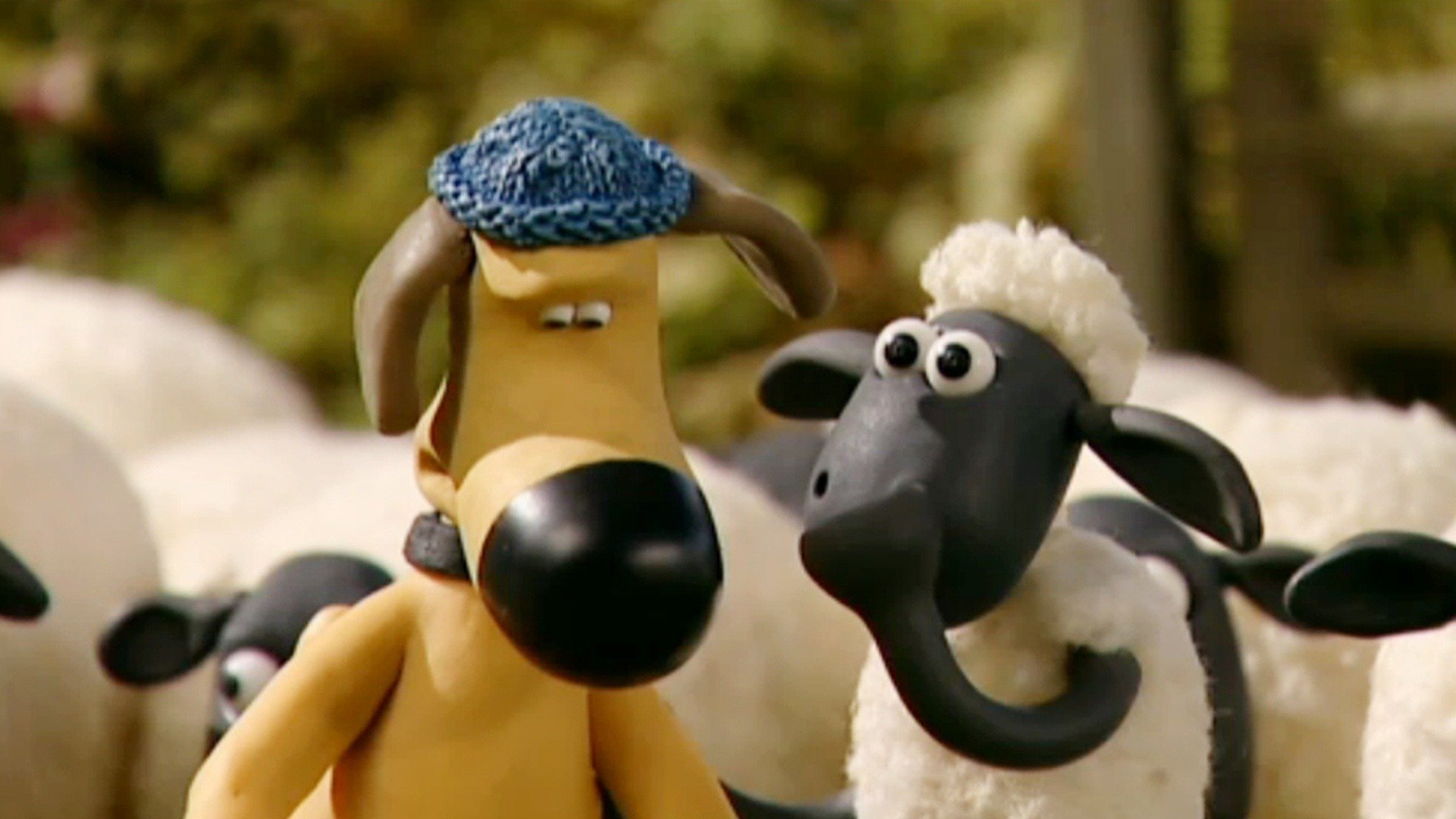 Shaun, o Carneiro : Atraente