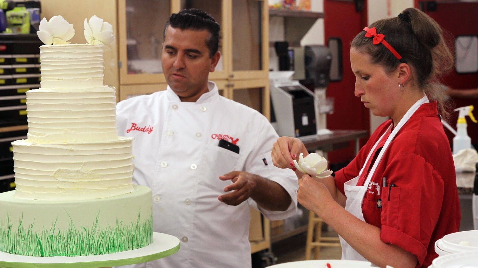 Cake Boss : Aviões e Borboletas