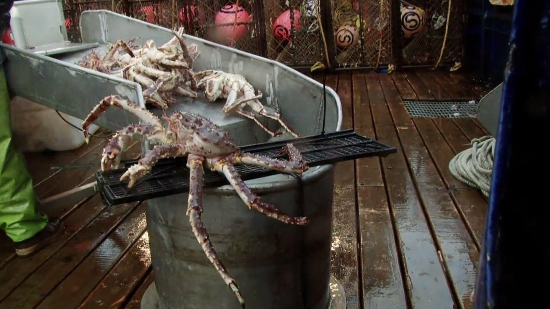 Pesca Mortal : Assunto de Família
