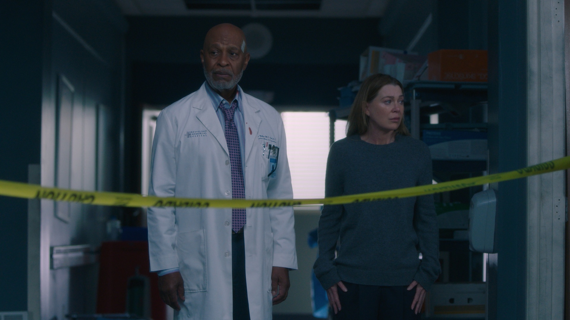 Grey's Anatomy : Only the Strong Survive