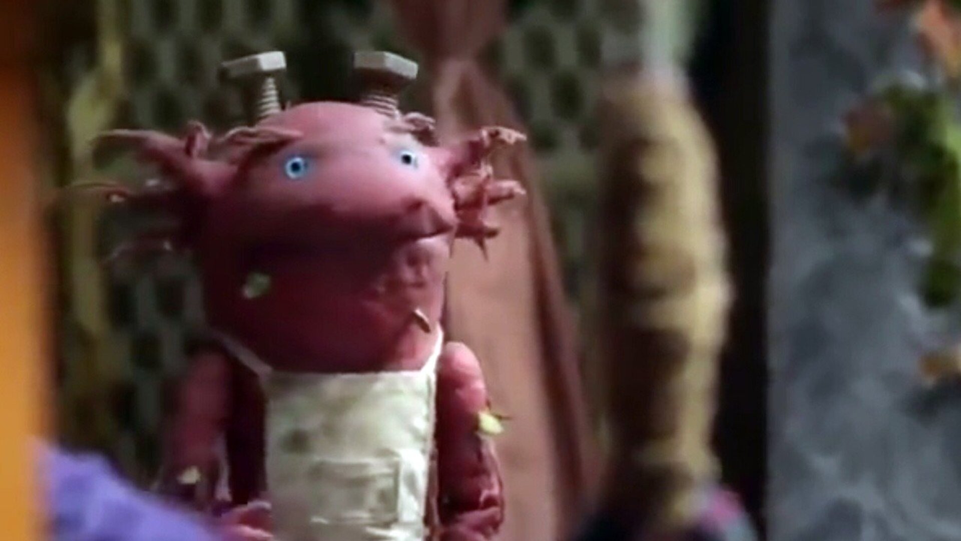 Que Monstro te Mordeu? : Curiosidade