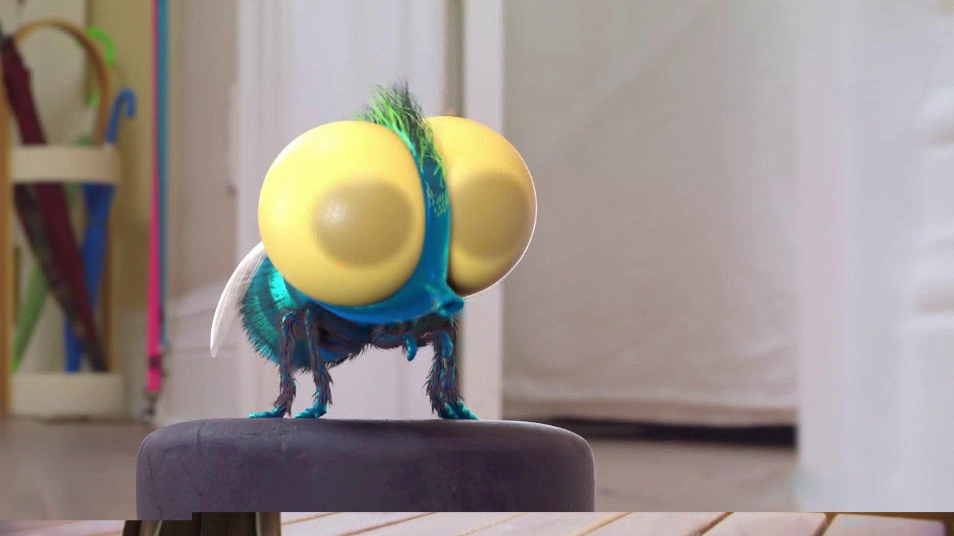 Lucas, a Aranha : Boingo!