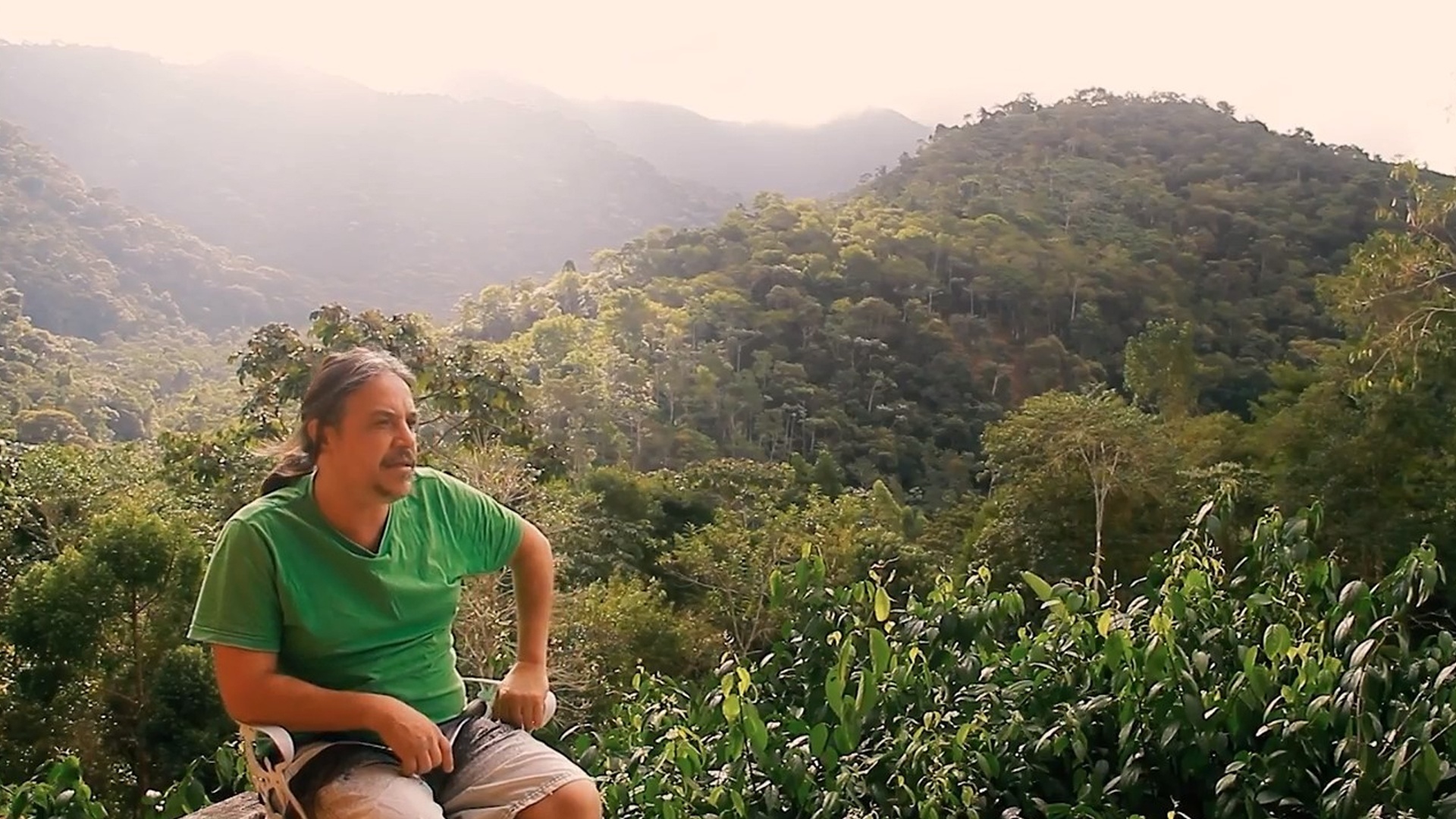 Caminho das Águas : Água É Floresta