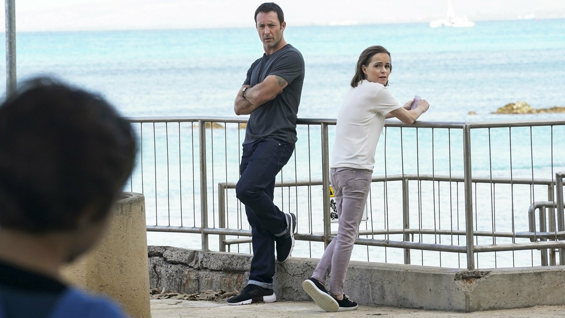 Hawaii Five-0 : A Stranger Only For a Day