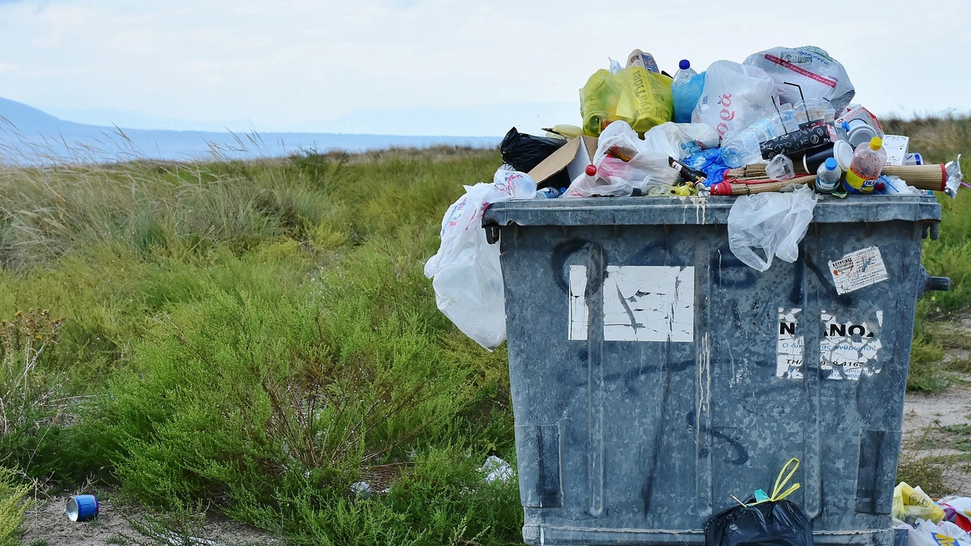 Hora de Agir : Impacto do Clima na Saúde...
