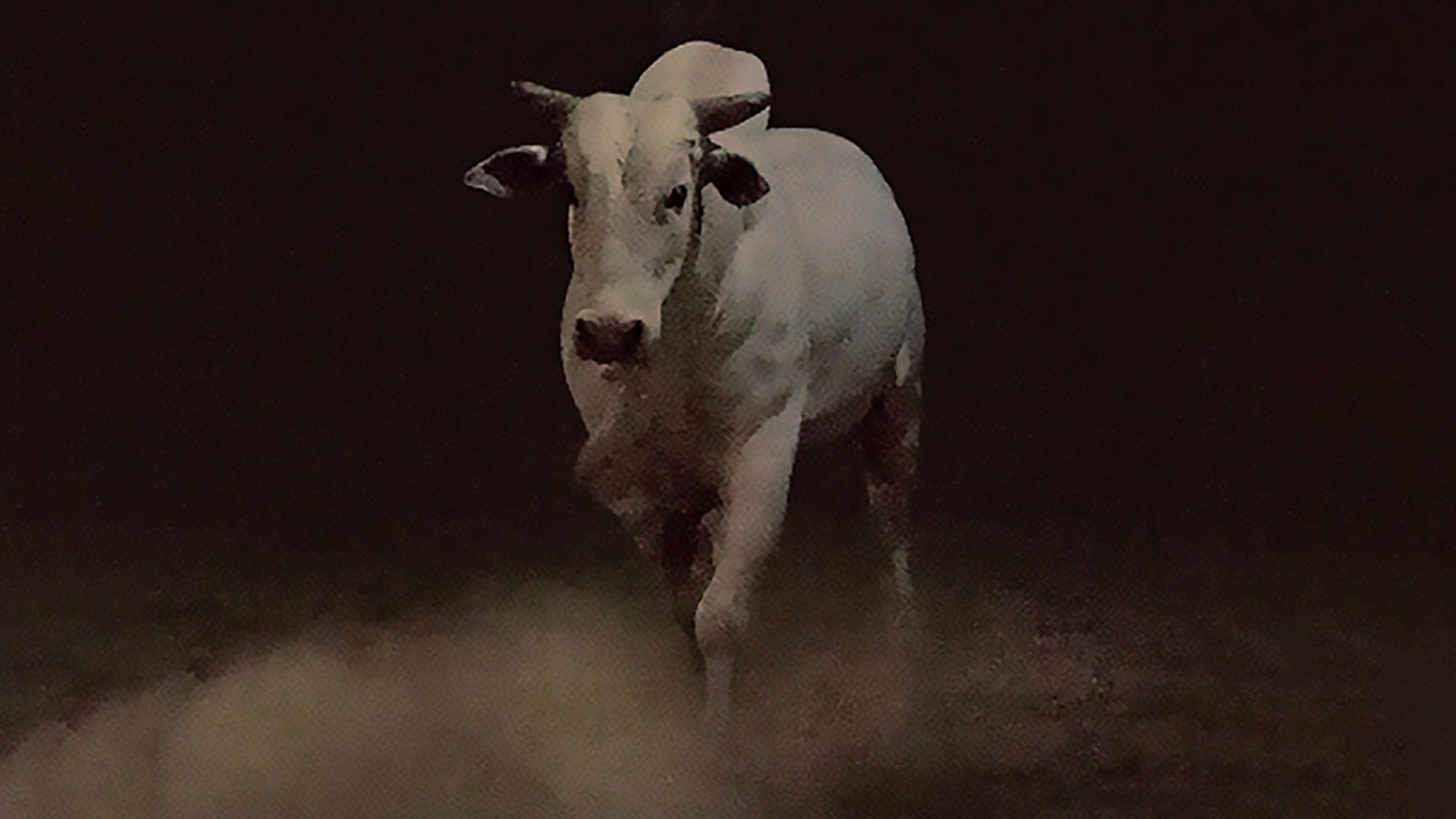 Querência